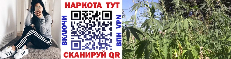 Названия наркотиков Очёр Марихуана Alpha-PVP ГАШ ОМГ ОМГ ссылка Меф мяу мяу