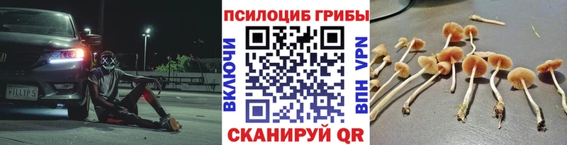 купить наркотики цена  ссылка на мегу онион  Галлюциногенные грибы MAGIC MUSHROOMS  Очёр 